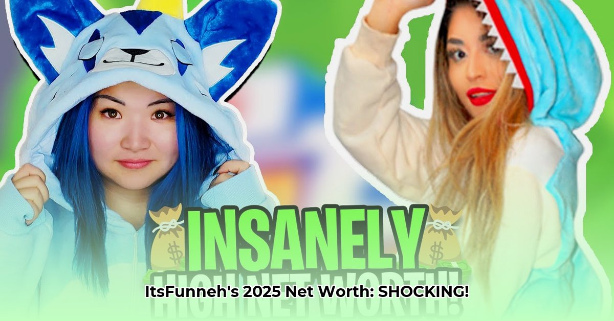 itsfunneh-net-worth